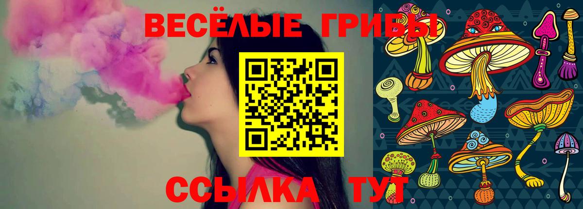 Галлюциногенные грибы Psilocybe  Галлюциногенные грибы MAGIC MUSHROOMS  Вход с VPN  Белогорск 